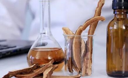 Organic Reishi Mushroom Extract Powder (2).jpg