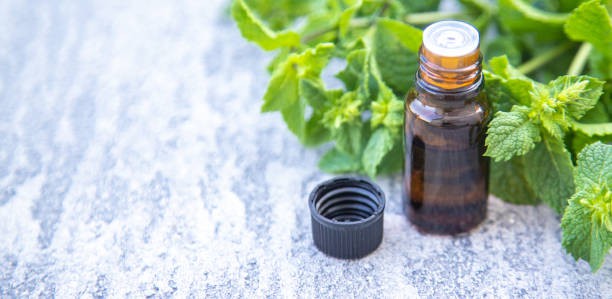 Application of Organic Nettle Extract Powder