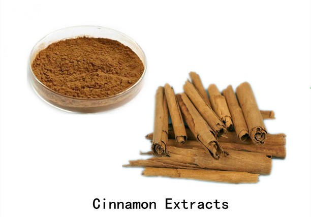 Organic Ceylon Cinnamon Bark Powder Organic Ceylon Cinnamon Bark Powder
