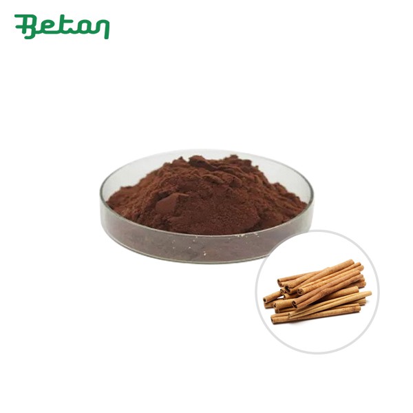 Orgaaniline kaneelipulber