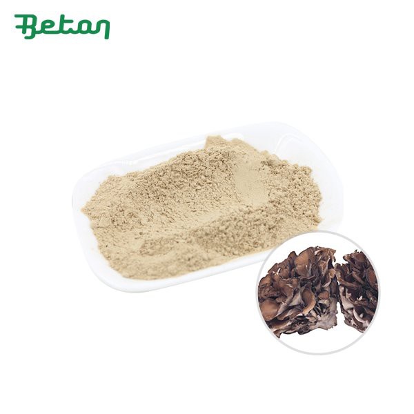 Orgaaniline Maitake seenepulber