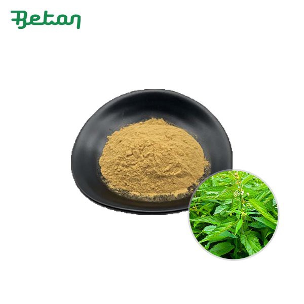 Orgaaniline nõgeseekstrakti pulber