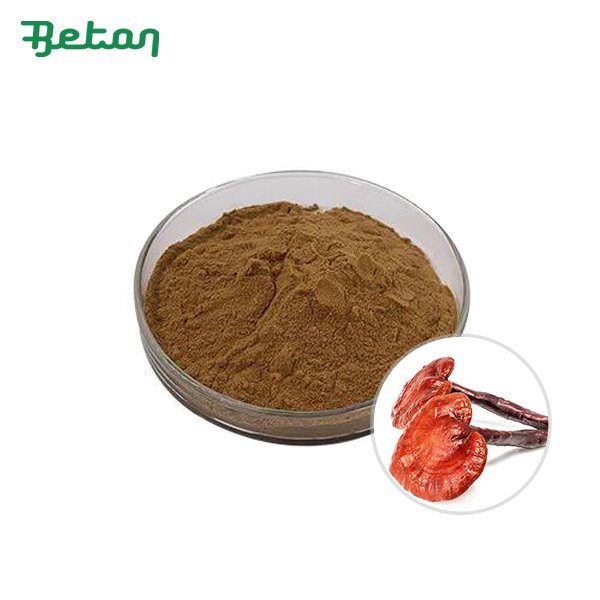 Orgaaniline Reishi seeneekstrakti pulber