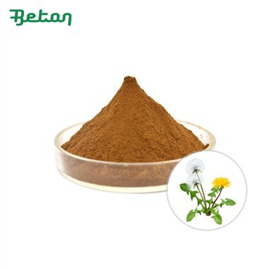 Orgaaniline võilillejuure ekstrakti pulber