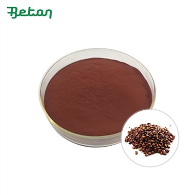 Orgaaniline viinamarjaseemne ekstrakti pulber