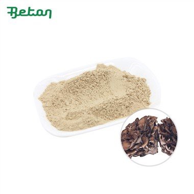 Orgaaniline Maitake seenepulber