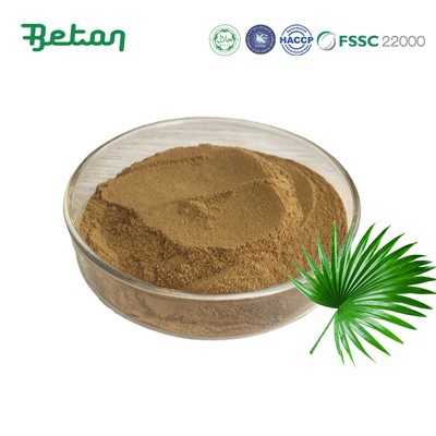 Saw Palmetto ekstrakti pulber