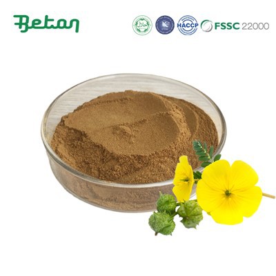 Tribulus Terrestris ekstrakti pulber